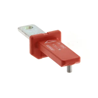 Release key for switch