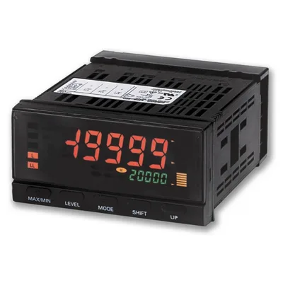 Process ind 48x96 5dig 24VAC/DC