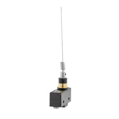 Special microswitch